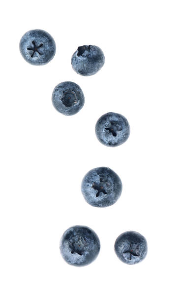 istock Many fresh ripe blueberries isolated on white 2216478167