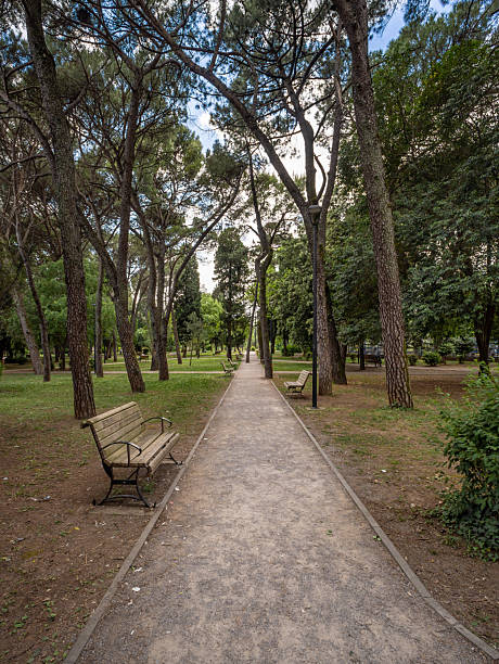 istock Path through Podgorician Park in city centre 2216478929