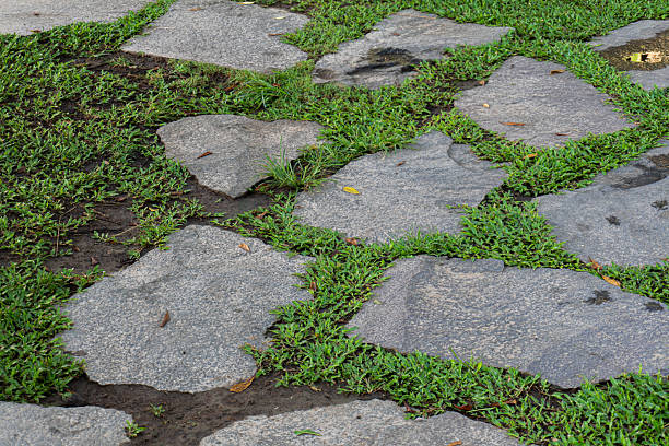 istock Stone Pathway Harmony Grass  Granite Intertwined in Garden Retreat. 2216479874