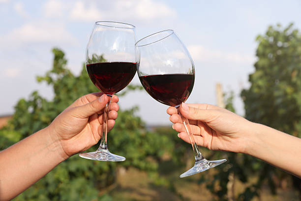 istock Couple clinking glasses of wine outdoors, closeup 2216480304