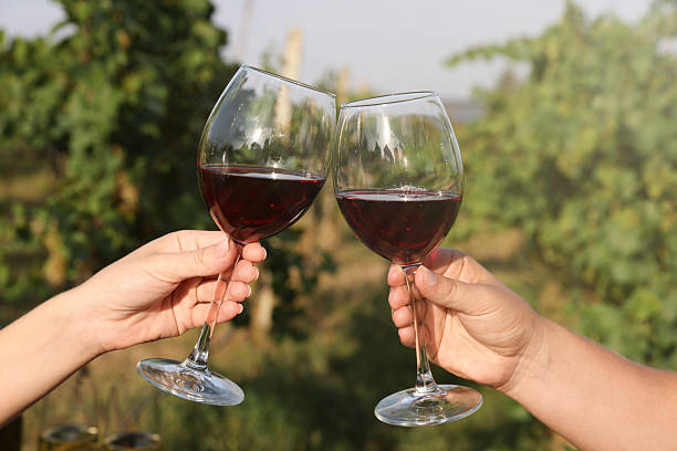 istock Couple clinking glasses of wine outdoors, closeup 2216480539
