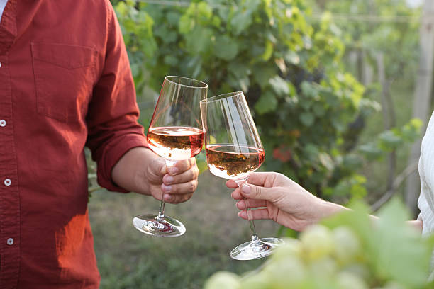 istock Couple clinking glasses of wine outdoors, closeup 2216480542
