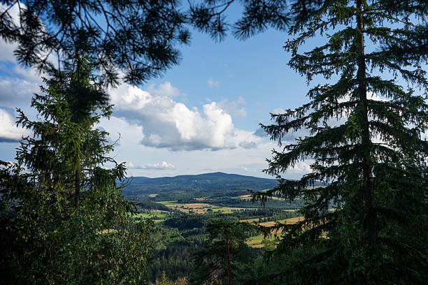 Pines forming a natural frame for the Sudetes Mountains. Additionally, there is a beautiful cloud formation