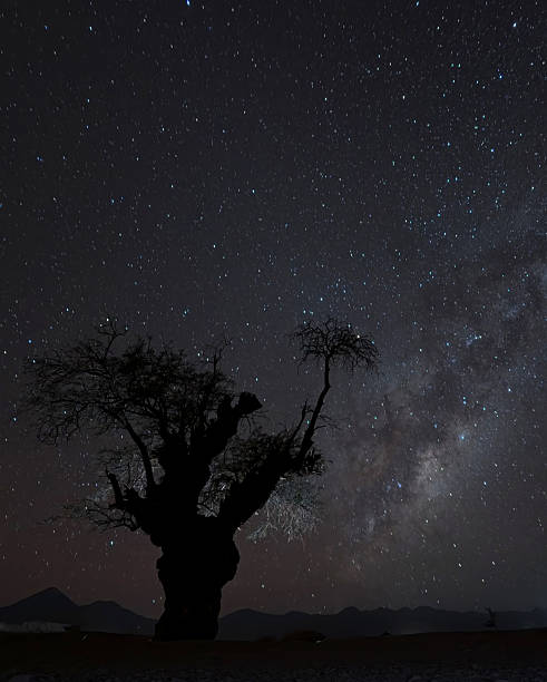 istock 4K video of the Milky Way 2216483230