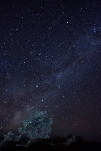 istock 4K video of the Milky Way 2216483275