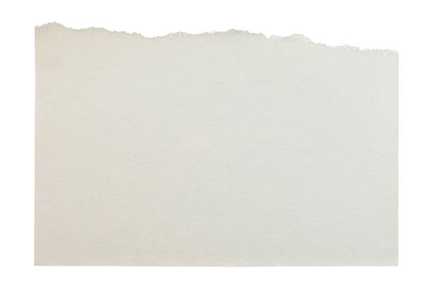 istock Torn sheet of notepad paper, isolated on transparent background. Office blank paper concept 2216483701