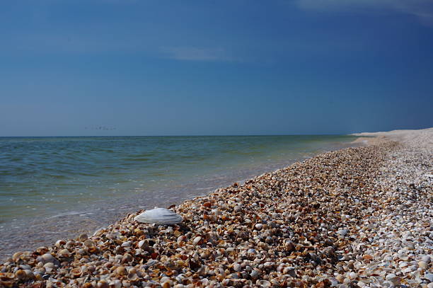 Pristine pebble beach stretching along calm blue waters under expansive sky with scattered stones\nThis serene coastal landscape showcases a beautiful natural pebble beach with smooth, multicolored stones creating a gentle curve along the shoreline. The calm blue-green waters meet the stone beach under a partly cloudy sky, while a piece of driftwood adds natural character to the peaceful scene. The composition emphasizes the natural beauty of this undeveloped coastline with its organic textures and soothing color palette. This image perfectly embodies themes of coastal conservation, natural beaches, peaceful retreats, geological formations, and the therapeutic qualities of seaside environments. The pristine, uncommercialized setting makes it ideal for nature tourism marketing, coastal preservation campaigns, meditation and wellness content, or travel publications celebrating natural destinations. The universal appeal of peaceful beaches as symbols of tranquility and escape gives this image strong commercial value for relaxation and wellness applications, environmental content about protecting natural coastlines, or articles celebrating the restorative power of spending time by the sea and connecting with unspoiled natural environments that offer respite from modern life.​​​​​​​​​​​​​​​​
