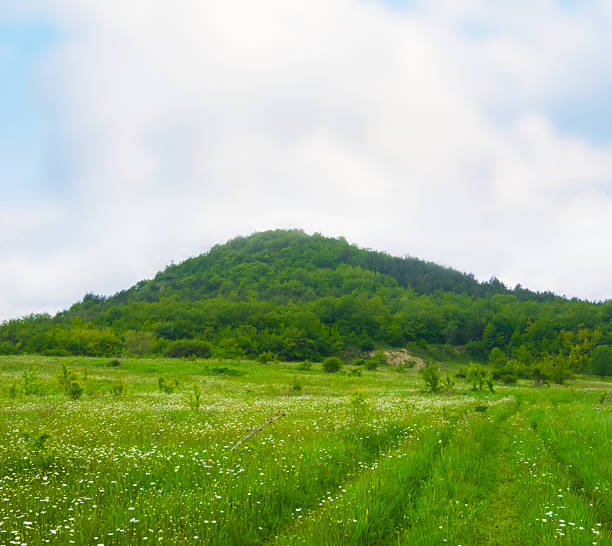istock summer green mountain valley covered by grass under blue cloudy sky 2216489527