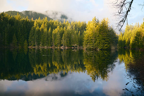 Calm, quiet lake in Lynn Headwaters Regional Park in North Vancouver