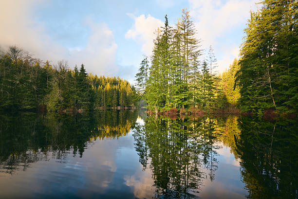 istock Beautiful forest Rice Lake in coniferous forest. Scenic Pacific Northwest Coast rainforest. Vancouver, British Columbia, Canada 2216491426
