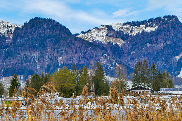 Old wooden hut in winter in a snowy landscape