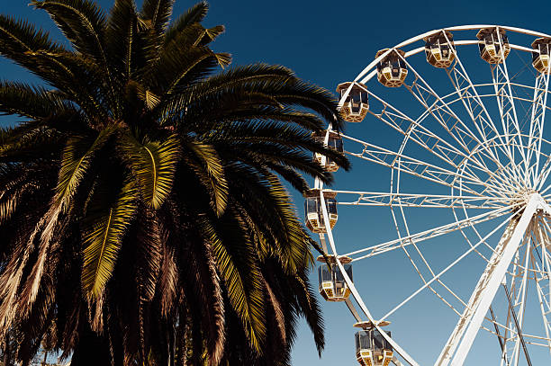 istock Palm and Ferris wheel 2216493009