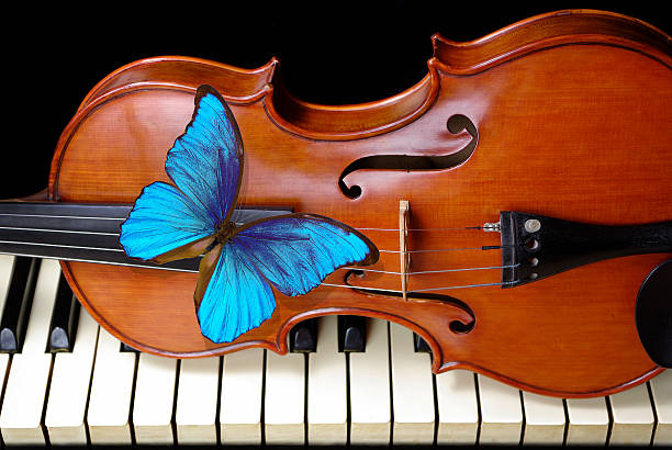 istock Butterfly morpho, violin and piano. close up. 2216495006