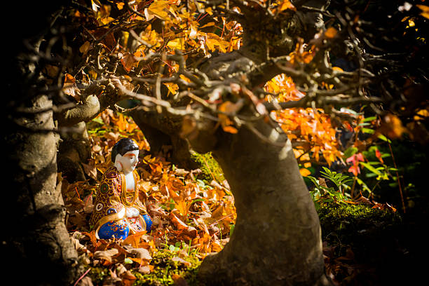 Buddha, Hotei in a bonsai maple forest in autumn, meditation, yoga.