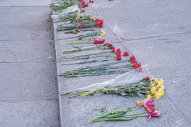 istock Flowers arranged in rows on a sidewalk, Victory Day tribute, outdoor setting, concrete surface, red, yellow, pink flowers, greenery, symmetry, daytime lighting, no people visible 2216498502