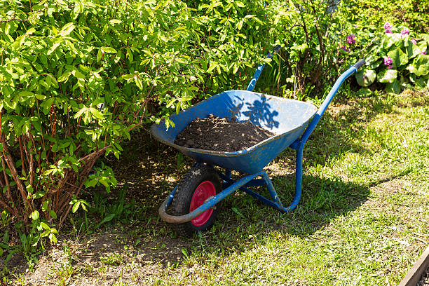 istock Old wheelbarrow in a garden 2216498872