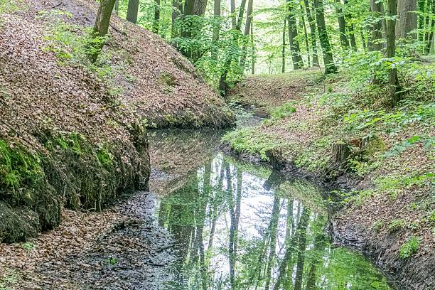 istock A tranquil stream meanders through a wooded area, reflecting soft lighting and filtering warm ambiance Lush trees of varying greens line the banks, with scattered leaves suggesting autumn The strea 2216498971