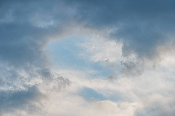Overcast day, large dark gray clouds, sky break, sunlight shaft, field, low angle shot, central cloud positioning, muted colors, contrasting yellow light, natural realism