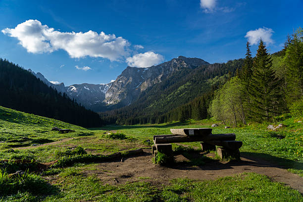 istock Bench in Small Meadow Valley. Tatry mountains, Poland 2216499635