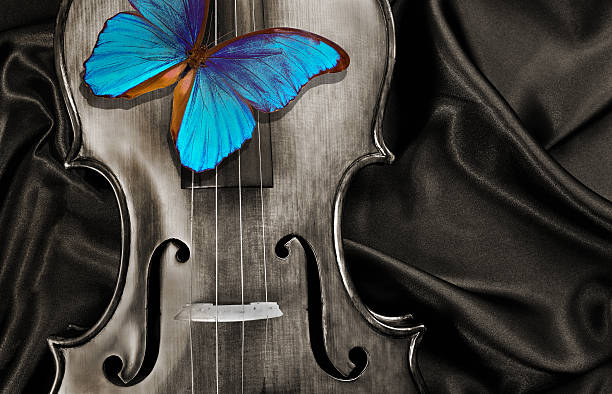 istock blue butterfly morpho on a violin. music concept 2216504755