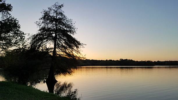 istock Sunset at Lake Houston, Texas with Silhouette Trees 2216507433