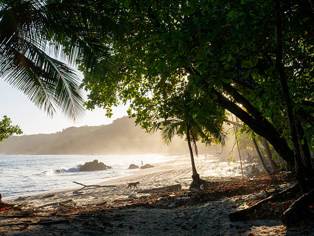 istock Montezuma Beach, Costa Rica 2216508718