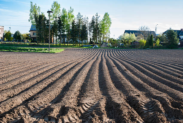 Spring morning on a plowed field with patterns in soil rows, trees and houses in the background, under a clear blue sky.