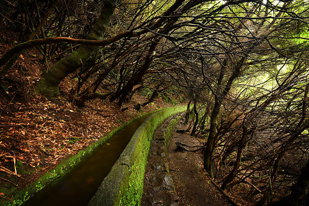 Landscape of madeira island - levada path