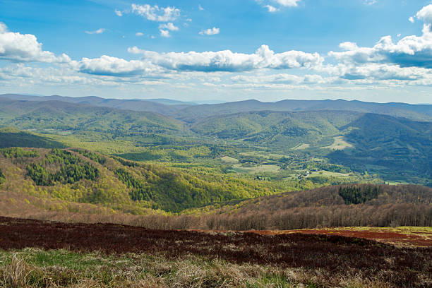 istock A panoramic view of the Bieszczady Mountains showcasing lush greenery and rolling hills under a bright blue sky with fluffy clouds, perfect for outdoor enthusiasts and nature lovers. 2216515563