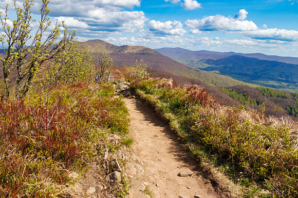Scenic mountain trail winding through vibrant greenery under a bright blue sky with fluffy clouds. Ideal for nature lovers and outdoor enthusiasts exploring Bieszczady.