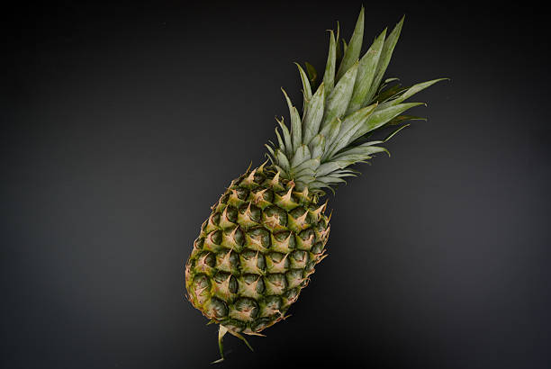 Studio shot of a single pineapple isolated on white background. Clean product image for food, health, tropical fruit, and advertising concepts with space for text or design