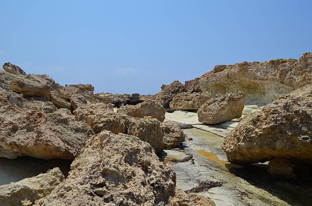 Rocky coastal landscape with eroded limestone formations under clear blue sky.