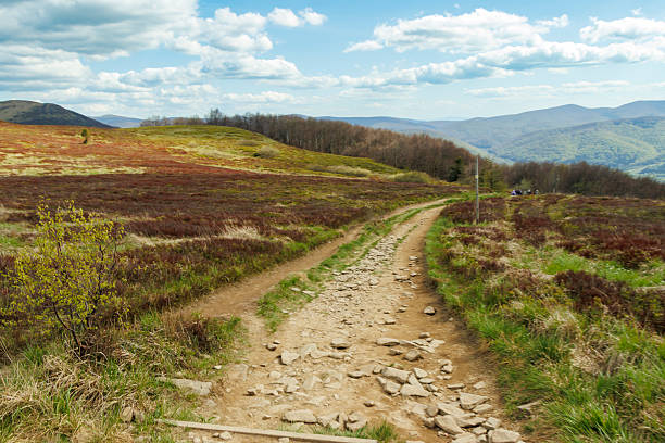 Winding dirt path through Bieszczady Mountains on a sunny day, surrounded by vibrant greenery and hills, inviting outdoor exploration and adventure.