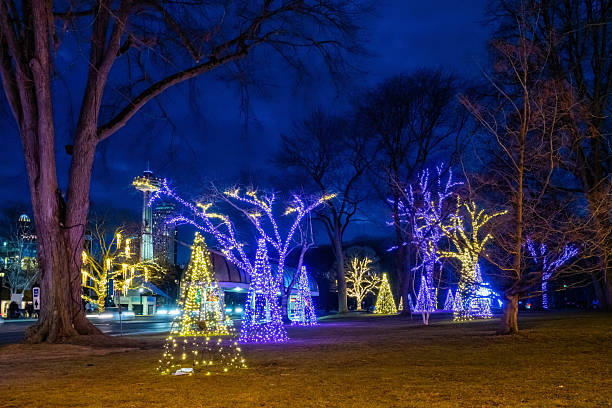 istock Niagara Falls Canada Christmas Lights 2216516437