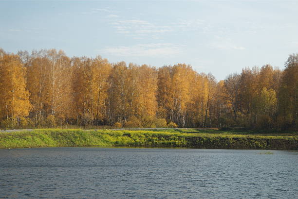 Summer village on riverbank in late autumn