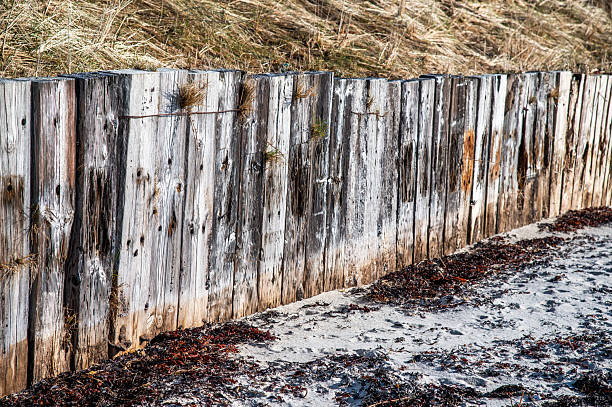 Weathered wooden beams in beach setting.  Wood is grey and silver due to exposure to weather conditions, sea and salt.  Photographed in bright winter sunshine, highlighting texture of the wood, showing the grain and knots.
