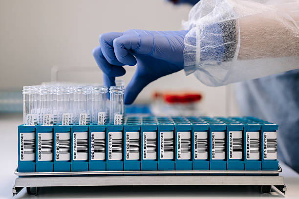 istock Close-up of test tubes in a laboratory for medical testing and development. 2216521818