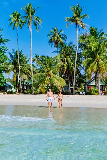 istock Romantic beach stroll under swaying palm trees in a tropical paradise 2216522370