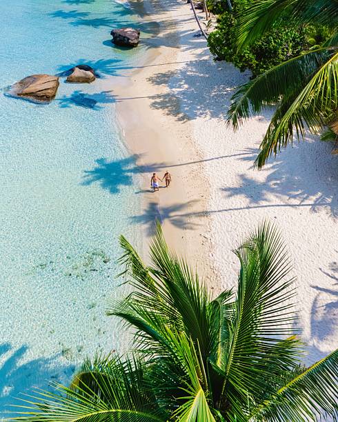 istock Couple strolling along a serene tropical beach under swaying palm trees in paradise 2216523779