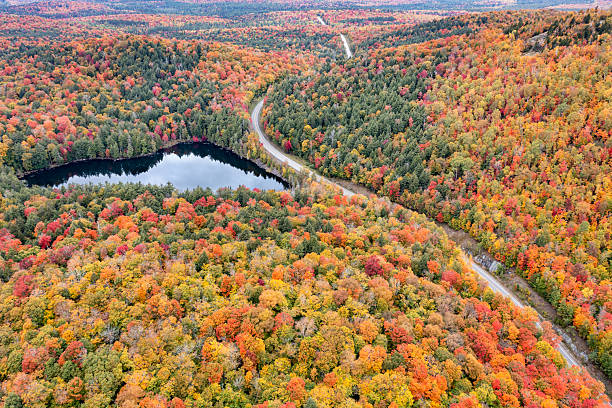 istock Panther Pond Fall Foliage Aerial 2216525265
