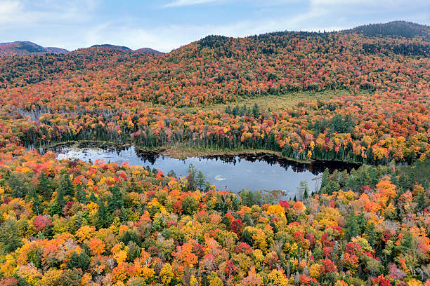 istock Adirondack Interpretive Center Aerial 2216525272