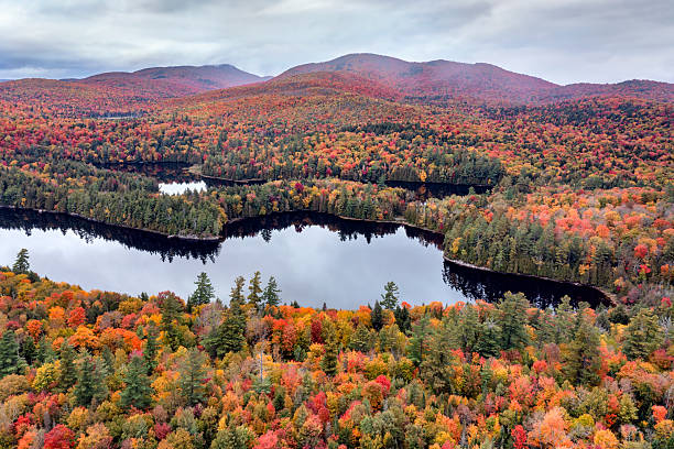 istock Adirondack Interpretive Center Aerial View 2216525281