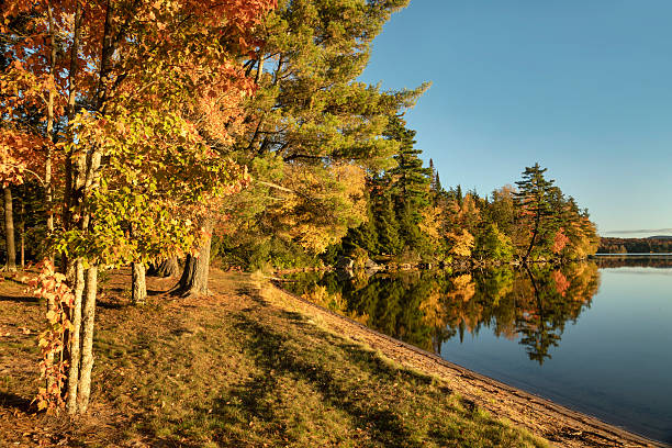 istock Lake Eaton Shoreline 2216525297