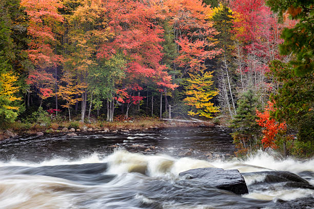 istock Buttermilk Falls Cascades in Autumn 2216525307