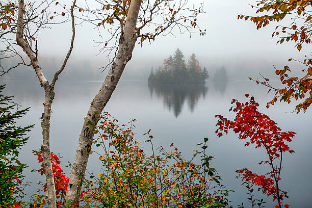 Colorful fall leaves frame a misty scene of an island just after dawn on Lake Durant in Adirondack Park in Upstate New York during autumn.