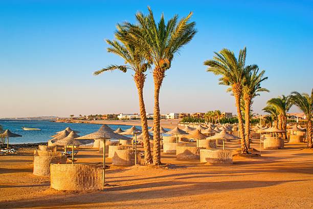 istock Idylic beach with palms and sun umbrelas, Red Sea, Egypt 2216530145