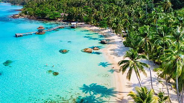 istock Serene tropical paradise on a sunny day with clear waters and swaying palm trees 2216532547