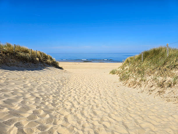 istock Beautiful sandy pathway leading to the tranquil beach in the Netherlands under a clear blue sky 2216532931