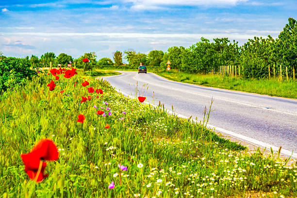 Country road against cloudy skies background in A field with blooming bright red poppies Krichim field,Plovdiv region,Bulgaria
