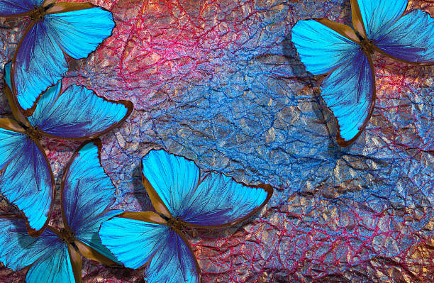 istock blue morpho butterflies on bright shining background. gold, blue and pink texture background. colorful crumpled paper. 2216544831